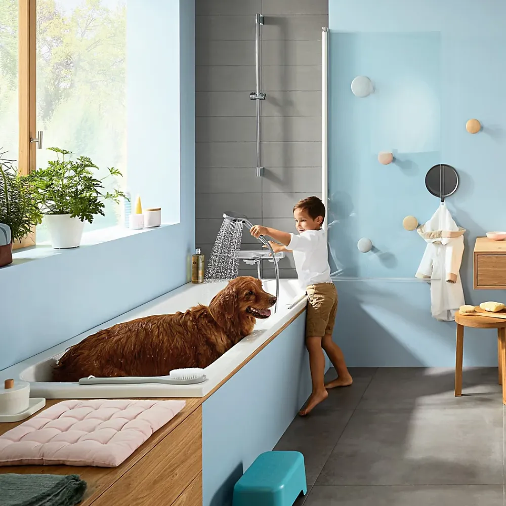 Hansgrohe Mitigeur de baignoire thermostatique chromé Ecostat E