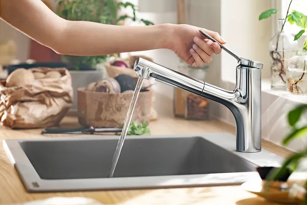 Hansgrohe Mitigeur de cuisine avec douchette extractible chromé Zesis M33 H. 219mm