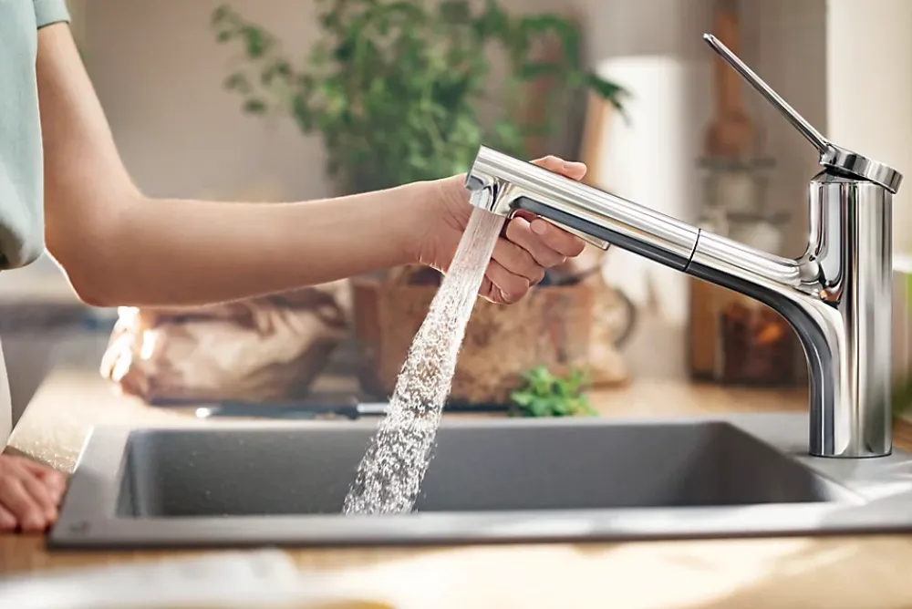 Hansgrohe Mitigeur de cuisine avec douchette extractible chromé Zesis M33 H. 219mm