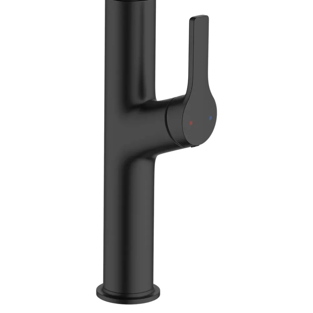 Evier Et Robinet De Buanderie|GoodHome Mitigeur de cuisine avec douchette noir Arbane