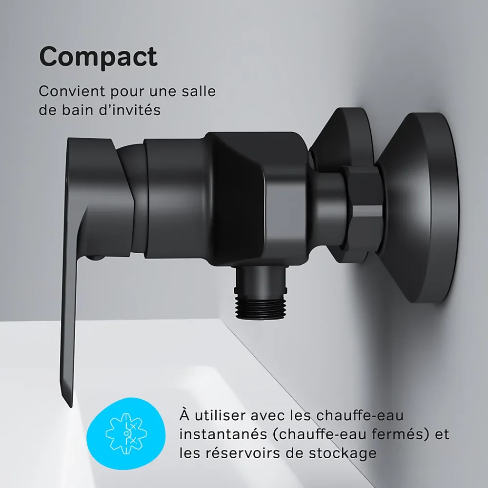 Robinet De Douche|Am.Pm Europe Mitigeur de douche mécanique Robinet de douche Noir, Flash FNA20022 AM.PM