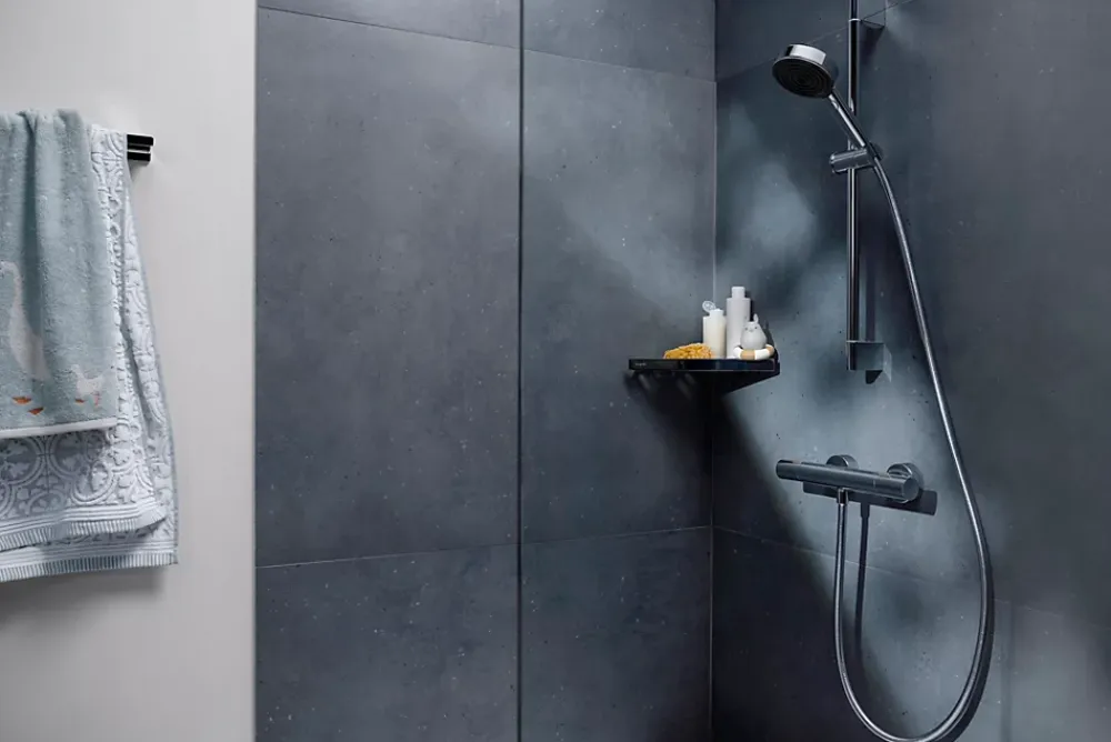 Robinet De Douche|Hansgrohe Mitigeur de douche thermostatique chromé Thermo Ecostat Life