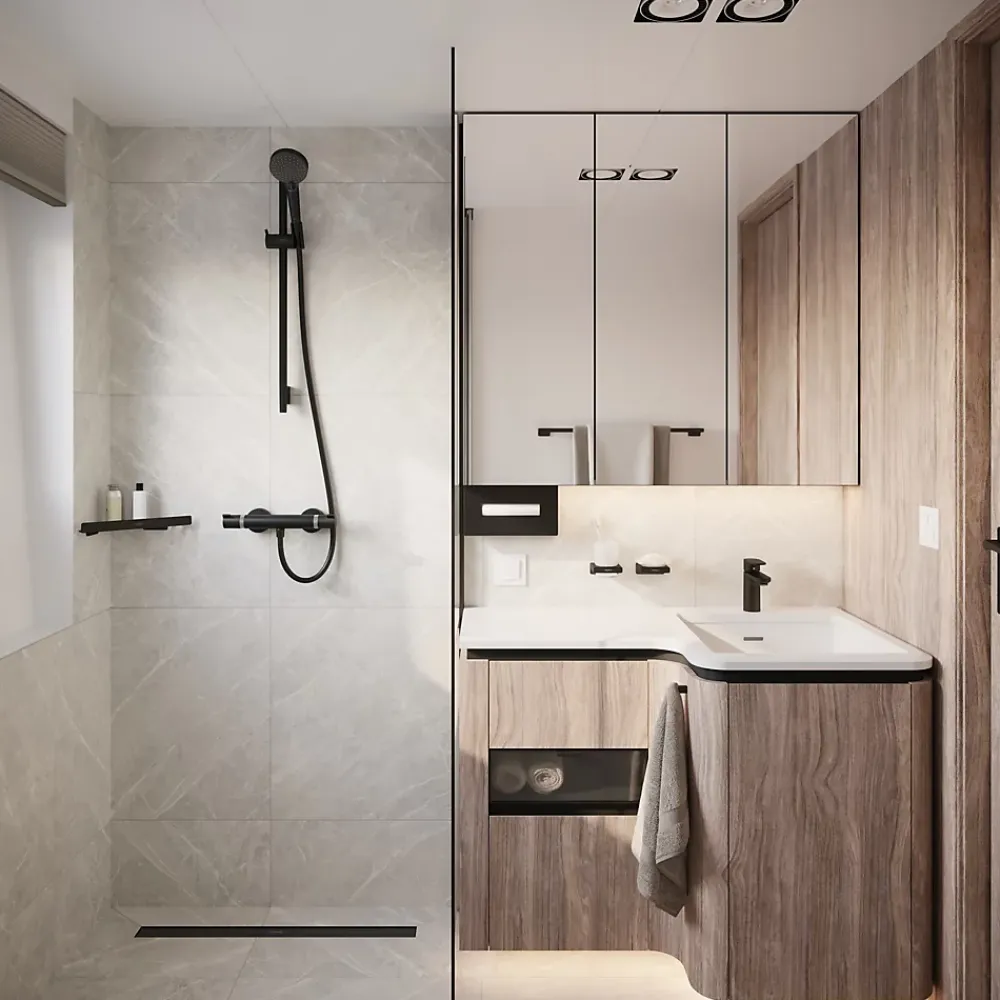 Robinet De Douche|Hansgrohe Mitigeur de douche thermostatique noir Ecostat E