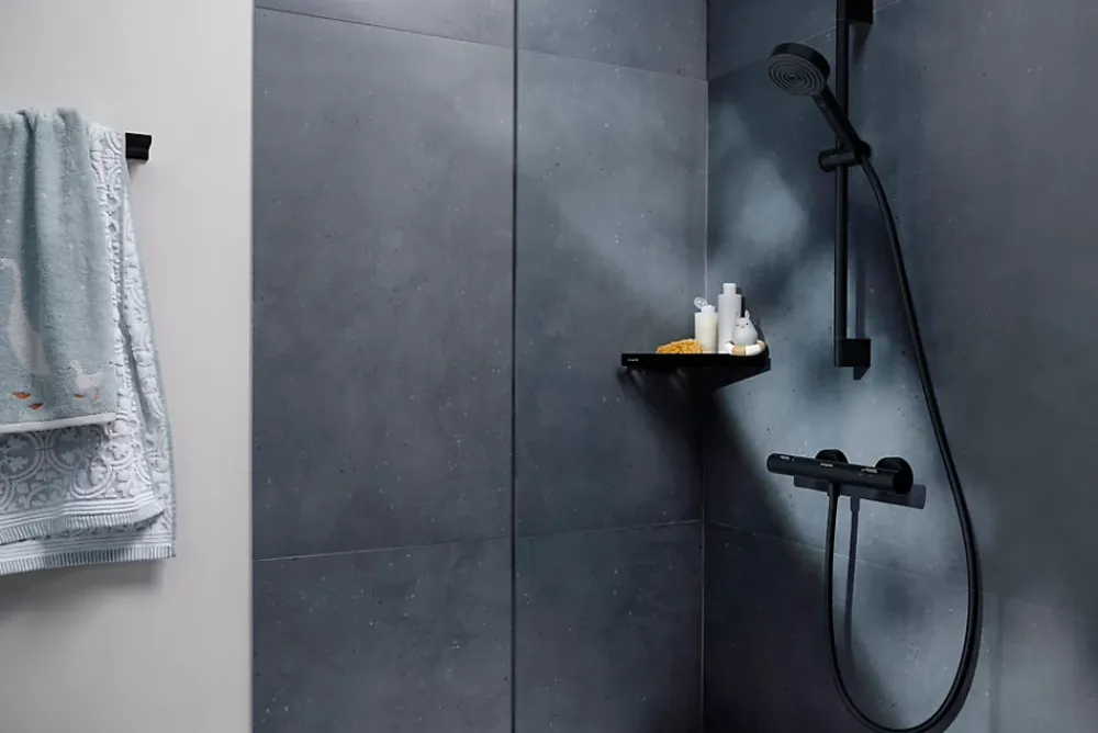 Robinet De Douche|Hansgrohe Mitigeur de douche thermostatique noir mat Ecostat Life