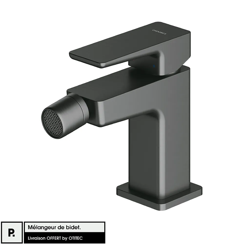 Robinet De Bidet|Otitec Mélangeur de bidet - Graphite - PARMA