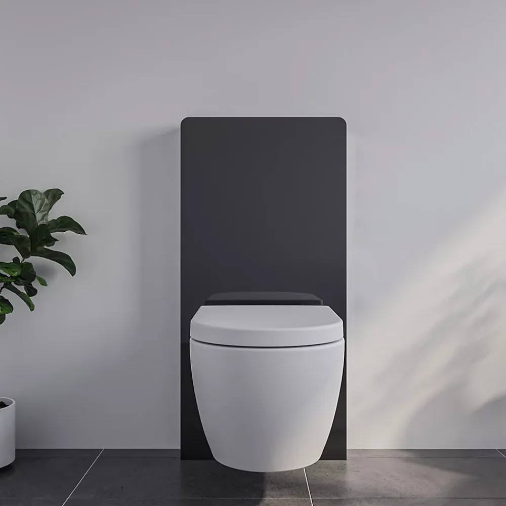 Bernstein Pack complet WC suspendu Blanc 36x55x33cm (LxPxH) + Module sanitaire Noir 48x11x100xm (LxPxH) - Garantie 5 ans