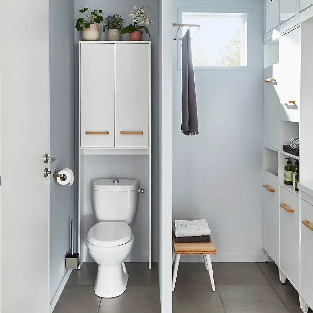 GoodHome Pack WC à poser sortie horizontale Lagon NF