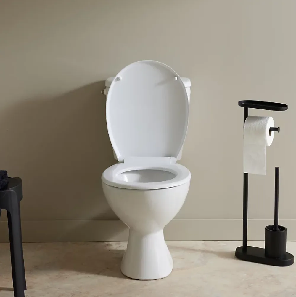 Planète Bain Pack WC à poser sortie horizontale NF avec bride - Alexa