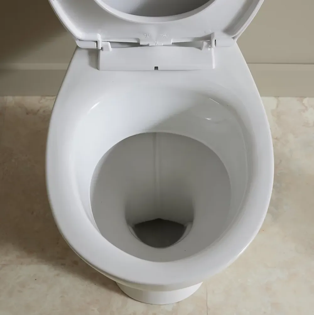 Planète Bain Pack WC à poser sortie verticale avec bride - Vertigo
