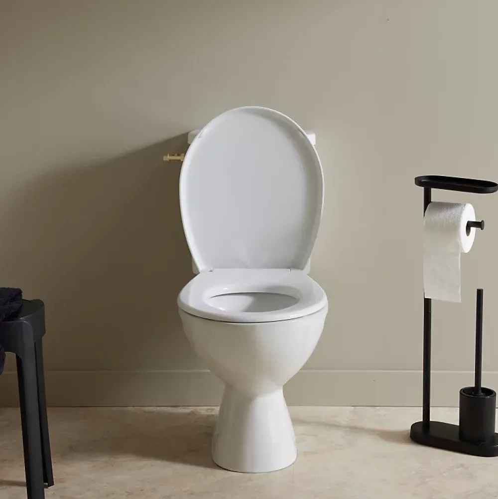 Planète Bain Pack WC à poser sortie verticale avec bride - Vertigo