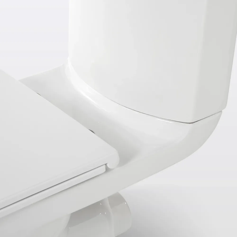 Wc À Poser|Wc Pmr|GoodHome Pack WC à poser surélevé sans bride avec sortie horizontale Cavally