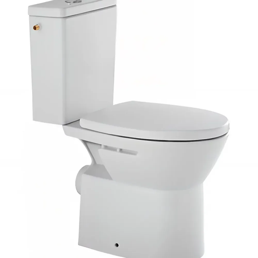 Sanindusa Pack WC au sol céramique traditionnelle Easy évac. arrière alim. chasse par le côté abattant frein de chute blanc