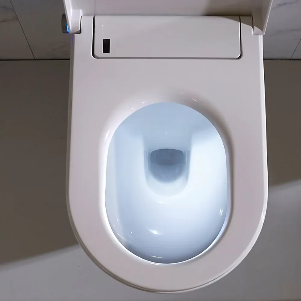 Wc Japonais|Planète Bain Pack wc avec cuvette lavante - Façade blanche -Wc japonais
