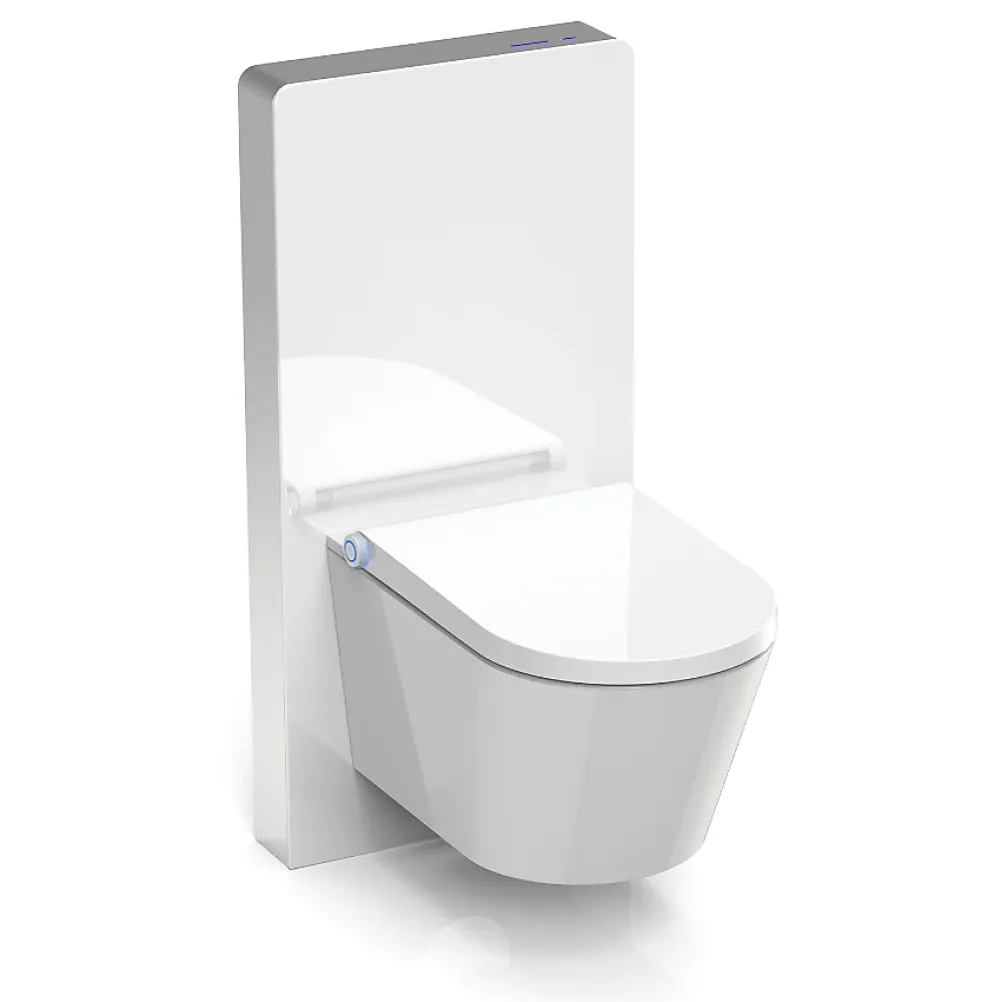Wc Japonais|Bernstein Pack WC japonais + Module sanitaire Blanc, Toilettes suspendu lavant + Abattant LED, Chasse eau 180 - 59x38x38cm - Basic 1102