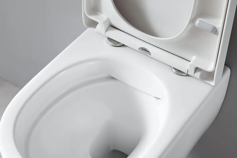 Bernstein Pack WC suspendu NT2039 blanc brillant, abattant Soft-Close avec bâti-support G3008 + plaque de déclenchement noir mat Modèle 4111