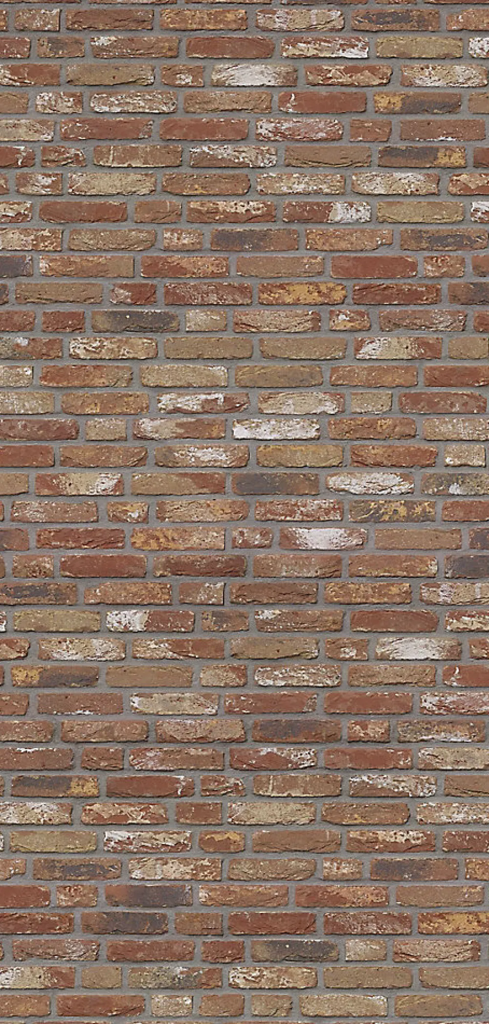 Panneau Mural De Salle De Bains|Schulte Panneau mural de salle de bains l.100 x H.210 cm, effet brique industrielle rouge, Décodesign vendu par 2