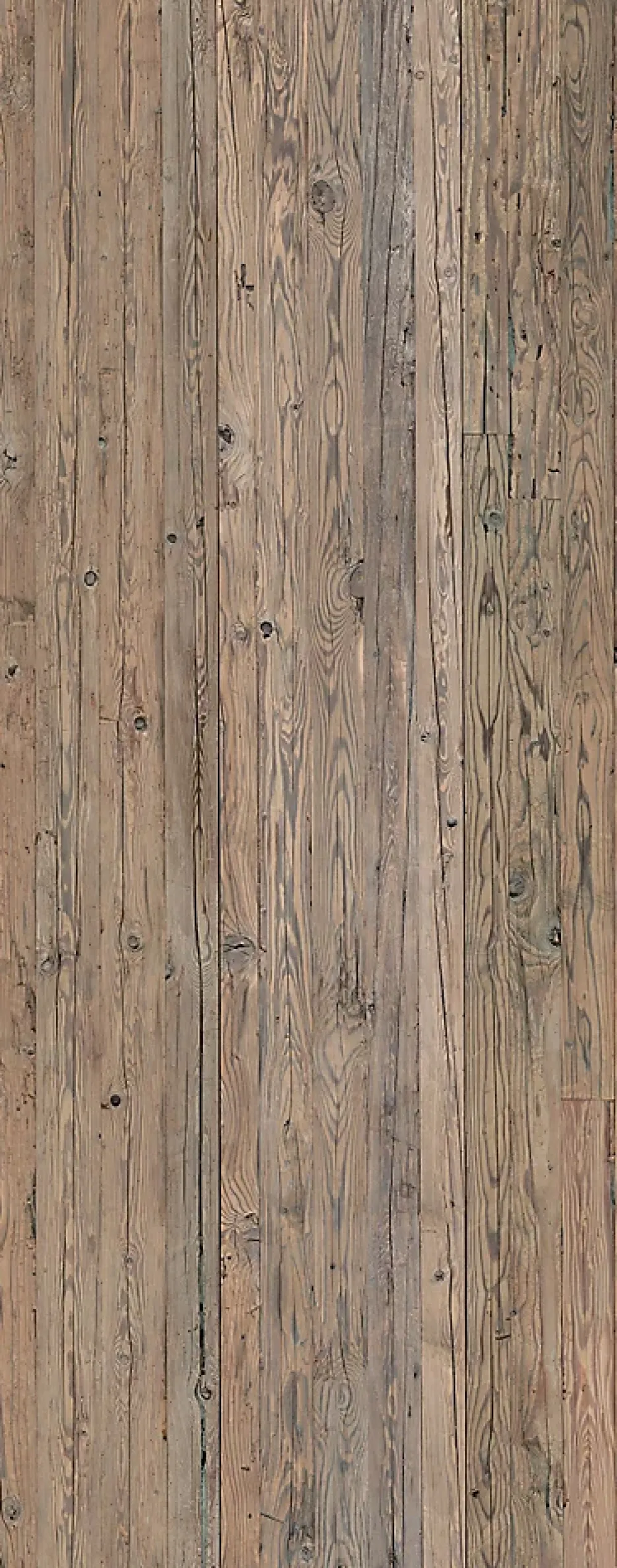 Schulte Panneau mural de salle de bains l.100x255 cm, décor bois, DécoDesign