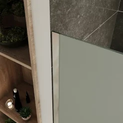 Saniverre Paroi de douche Italienne ROMA H.200 x 170 cm verre 10 mm opaque -