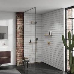 Hansgrohe Pommeau de douche Pulsify Select EcoSmart 105 3 jets relaxation + Flexible 160 cm Isiflex Bronze brossé