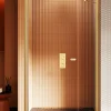 Porte De Douche|Otitec Porte de Douche Encastrée Pivotante - 160 x 195 - OR BROSSÉ - NEW SOLEO