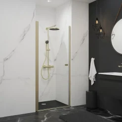 Schulte Porte de douche pivotante en niche, l.70 x H.192 cm, verre transparent, profilé or, décor Liane NewStyle