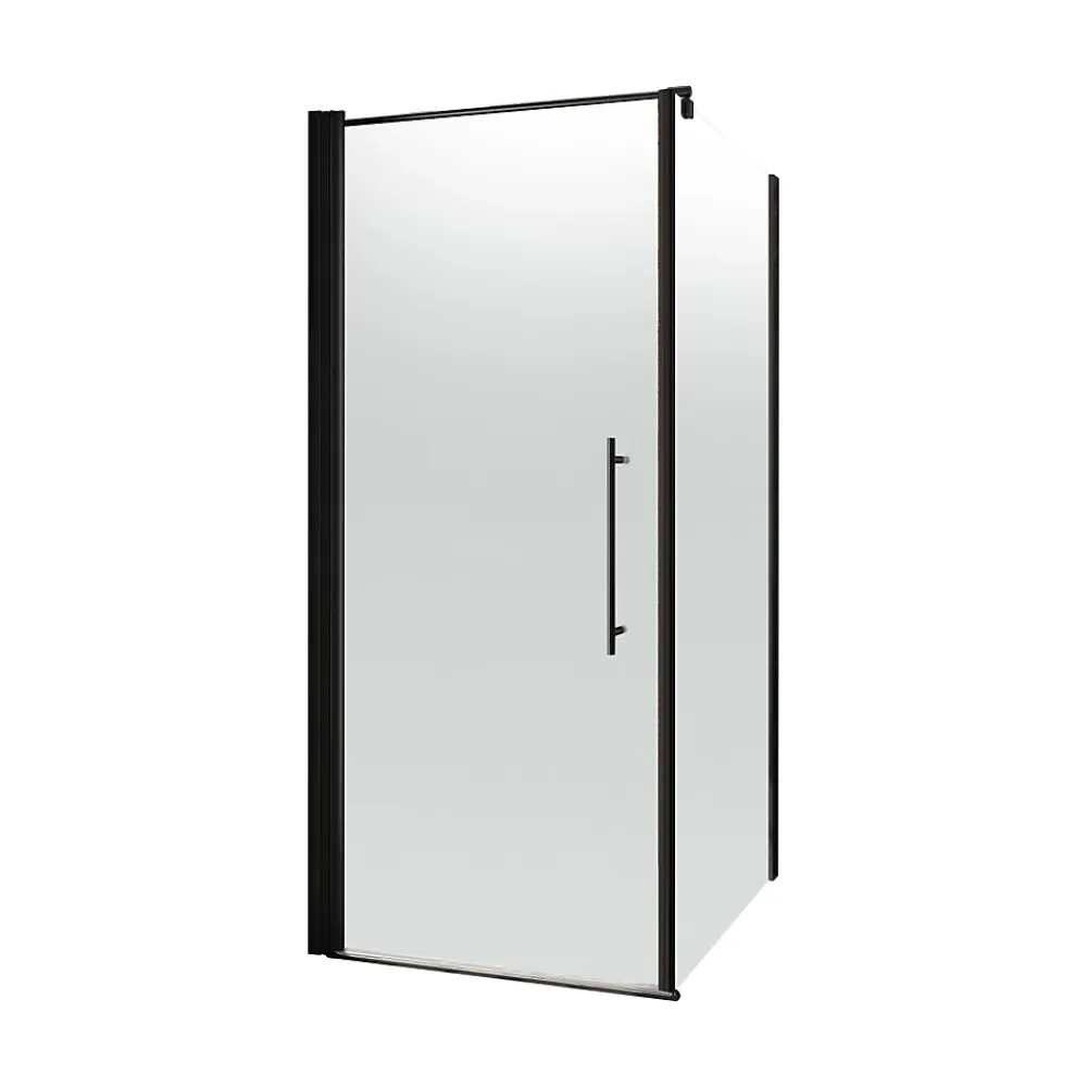 Porte De Douche|Schulte Porte de douche pivotante et paroi latérale l.80 x L.80 x H.190 cm, profilé noir, verre brume, NewStyle