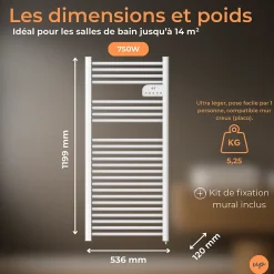 Sèche-Serviettes Électrique|Cosy up Radiateur sèche serviettes électriques à inertie sèche barres rondes 750W thermostat programmable Cosyup Olen Blanc Garantie 3 ans