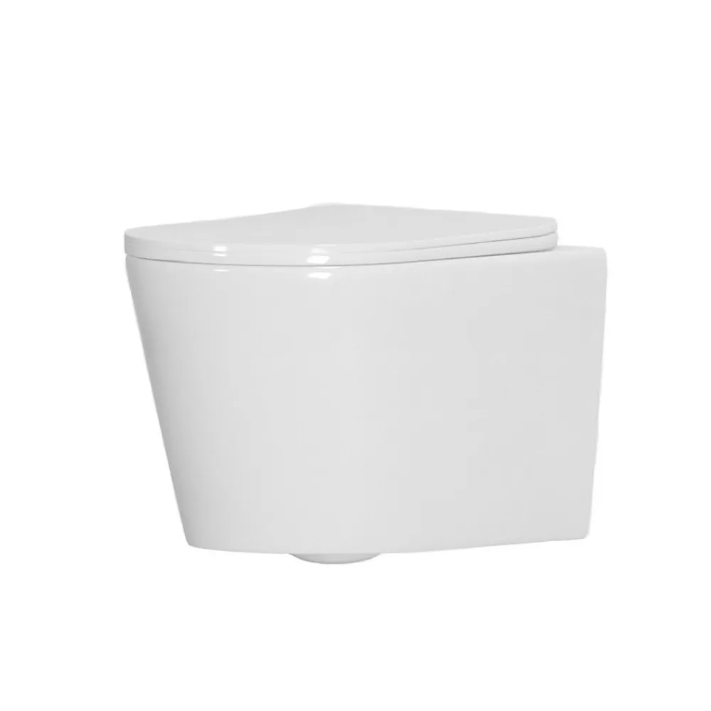 Wc Suspendu|Grohe Rapid SL Pack WC bâti-support + WC suspendu sans bride avec abattant SoftClose Ceramia + plaque (GRRCE14WT01-FR)