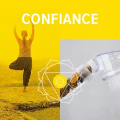 Change your life Recharge Œil de tigre pour douchette 7ChakrasShower