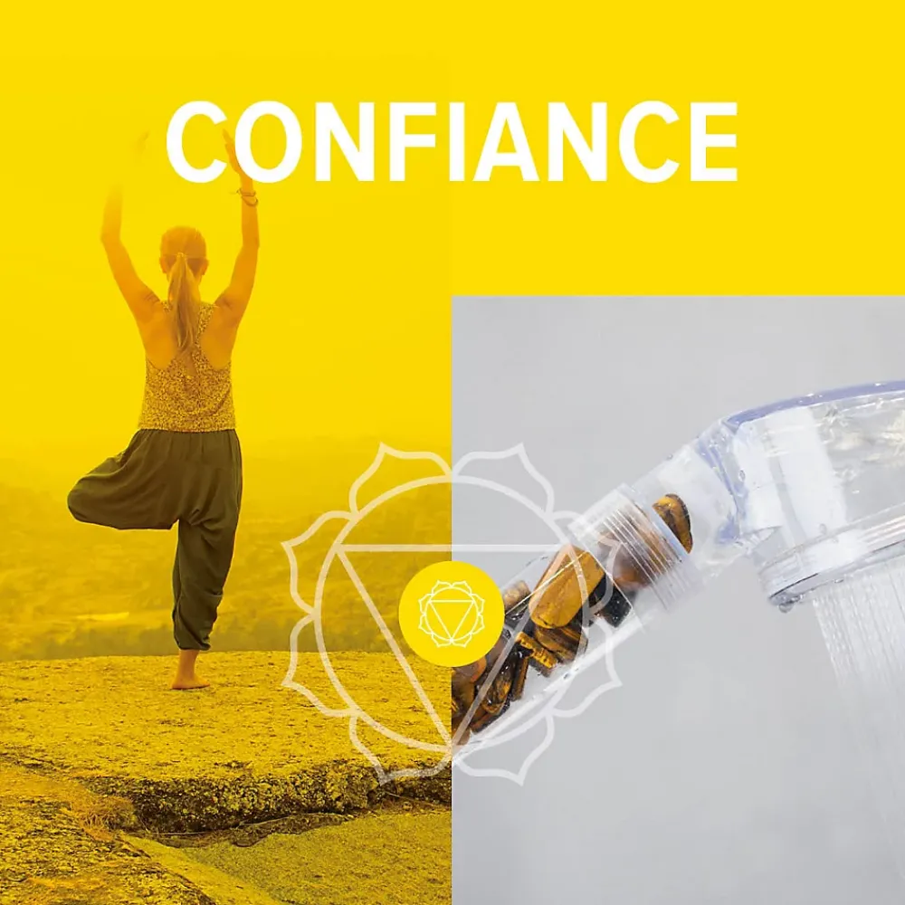 Change your life Recharge Œil de tigre pour douchette 7ChakrasShower