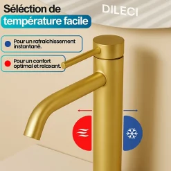 Dileci Robinet à bec court - Coloris Or -