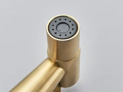 Signature Robinet bidet Doré en Acier Inox Murale Trou Unique