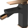 Invena Robinet Bidet Noir Monocommande Midnight