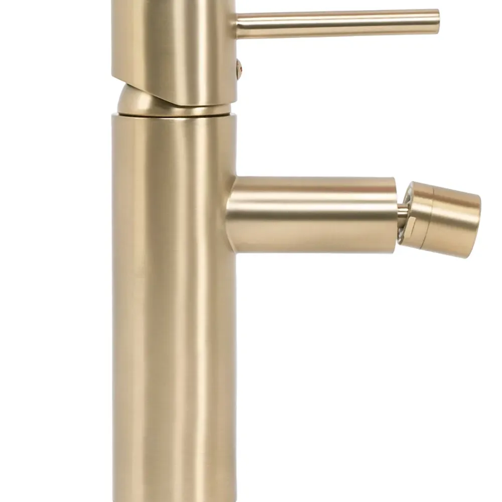 Robinet De Bidet|Rea Robinet de bidet Tess gold brush