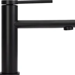 Rea Robinet de lavabo Oval black low