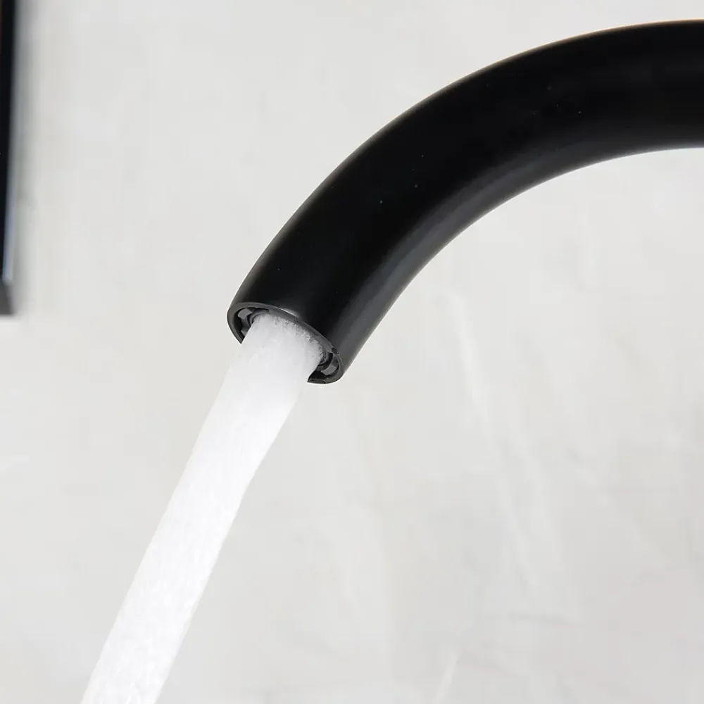 Bernstein Robinet mitigeur de luxe sur pied 8028B en noir