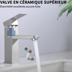 Homelody Robinet Salle Bain Carrée Mitigeur de lavabo Eau Froide Chaude Disponible Robinet Lavabo en Acier Inoxydable Mousseur Démontable