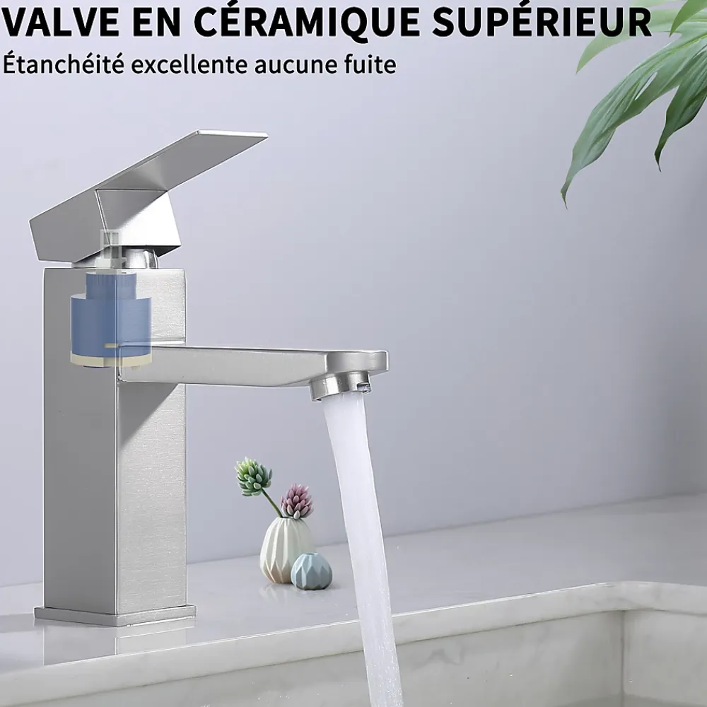Homelody Robinet Salle Bain Carrée Mitigeur de lavabo Eau Froide Chaude Disponible Robinet Lavabo en Acier Inoxydable Mousseur Démontable