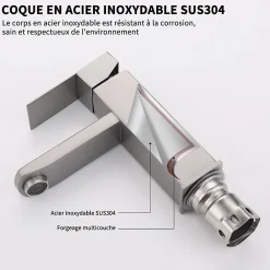 Homelody Robinet Salle Bain Carrée Mitigeur de lavabo Eau Froide Chaude Disponible Robinet Lavabo en Acier Inoxydable Mousseur Démontable