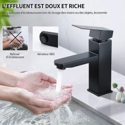 Homelody Robinet Salle Bain Noir Mitigeur Lavabo en Laiton Mitigeur Salle de Bain Contient des Tuyaux Chauds et Froids