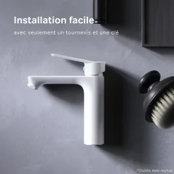Robinet Lavabo Et Vasque|Am.Pm Europe Robinet Salle de Bain Mitigeur lavabo, Blanc, taille S, FTA02133 AM.PM