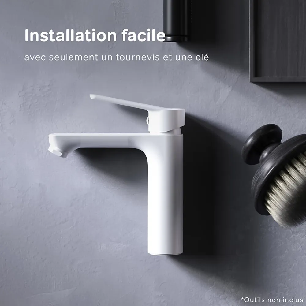 Robinet Lavabo Et Vasque|Am.Pm Europe Robinet Salle de Bain Mitigeur lavabo, Blanc, taille S, FTA02133 AM.PM