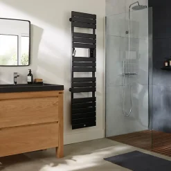 Thermor Sèche-serviettes Riviera 2 étroit 750W gris ardoise - - 497549