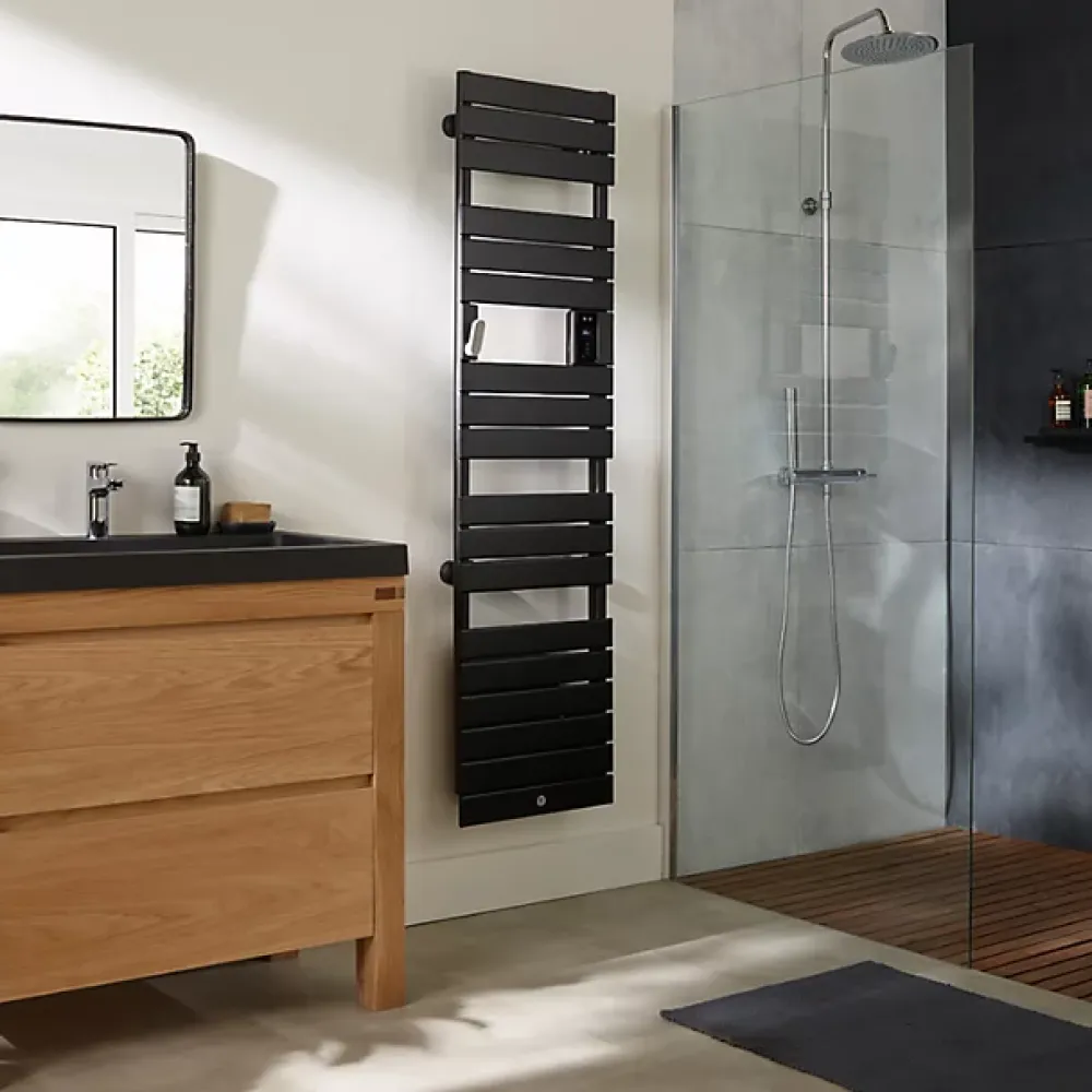 Thermor Sèche-serviettes Riviera 2 étroit 750W gris ardoise - - 497549