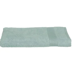 Serviette De Toilette|Eden Serviette de toilette invite 30 x 50 cm Couleur moderne givre