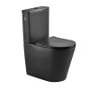 Wc À Poser|Swiss Aqua Technologies Brevis WC à poser sans bride + abattant softclose, noir mat (SATBRE031RREXVPBKM)