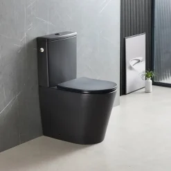Wc À Poser|Swiss Aqua Technologies Brevis WC à poser sans bride + abattant softclose, noir mat (SATBRE031RREXVPBKM)