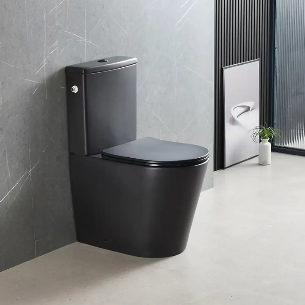 Wc À Poser|Swiss Aqua Technologies Brevis WC à poser sans bride + abattant softclose, noir mat (SATBRE031RREXVPBKM)