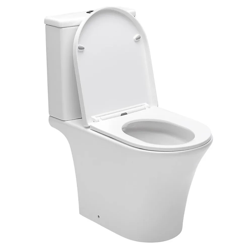 Wc À Poser|Polysan Swiss Aqua Technologies Combi WC à poser sans bride, avec abattant softclose - remplissage par le bas (SATBRE030RREXVP)