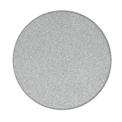 Swiss Aqua Technologies Pierre de ponçage de rechange pour douchette pédicure, grain fin (SATWTSSF80)